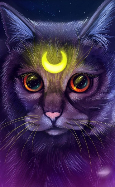 Luxury AB Velvet Diamond Painting Kit - Moon cat