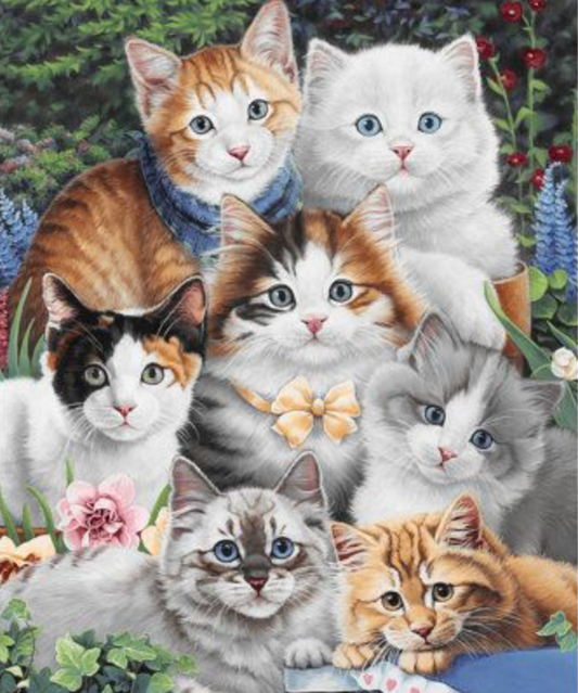 Luxury AB Velvet Diamond Painting Kit - Cat photo