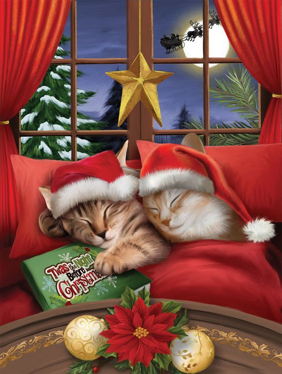 Luxury AB Velvet Diamond Painting Kit -Christmas Kitten