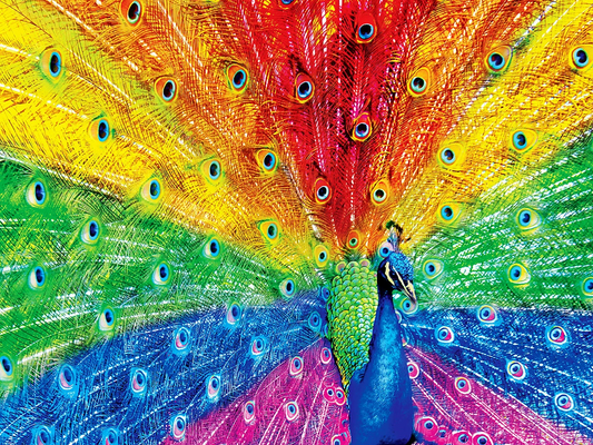 Luxury AB Velvet Diamond Painting Kit -  Colorful peacock