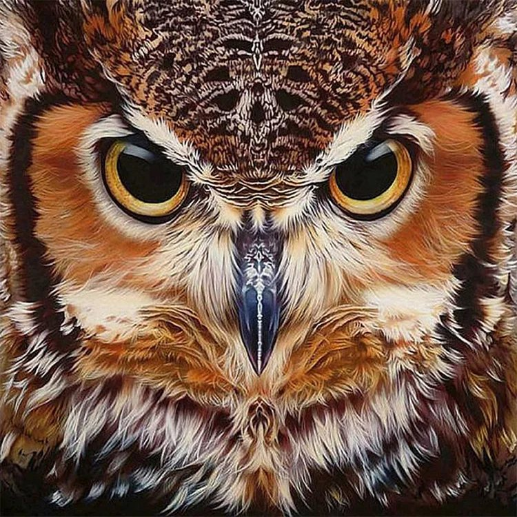 Luxury AB Velvet Diamond Painting Kit -Owl