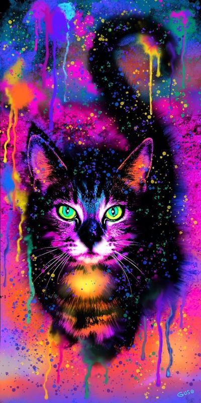 Luxury AB Velvet Diamond Painting Kit -Cat