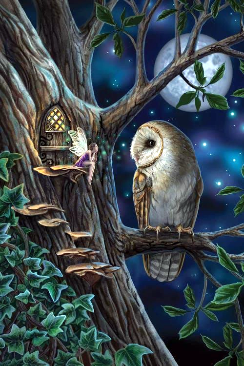 AB Diamond Painting    |  Owl And Elf