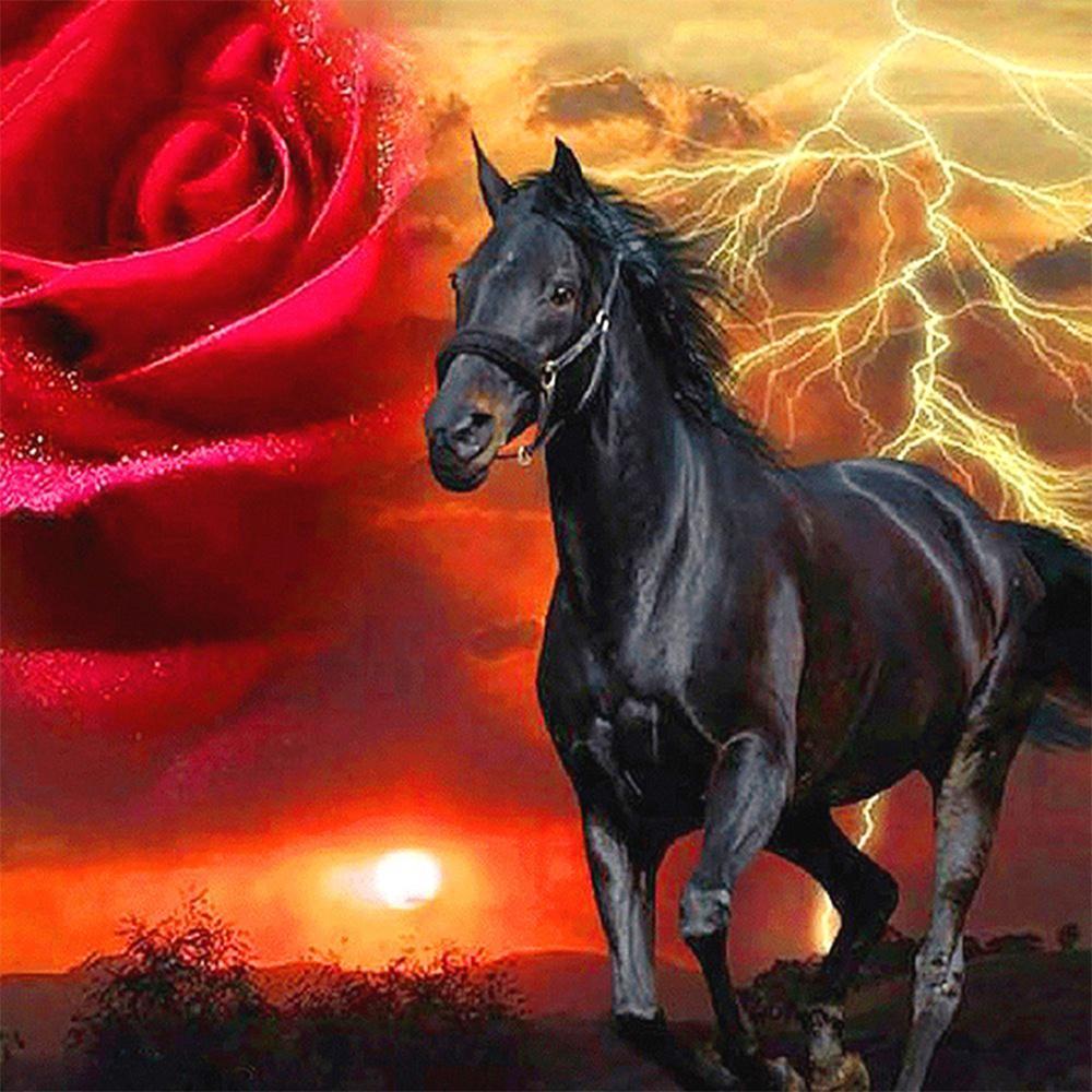 Cheval noir rose | Kits complets de peinture au diamant rond