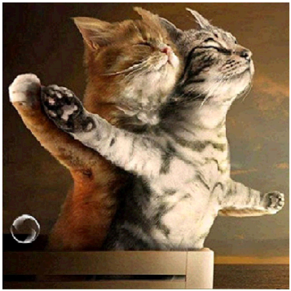 Couple cat | Full Round Diamond Painting Kits
