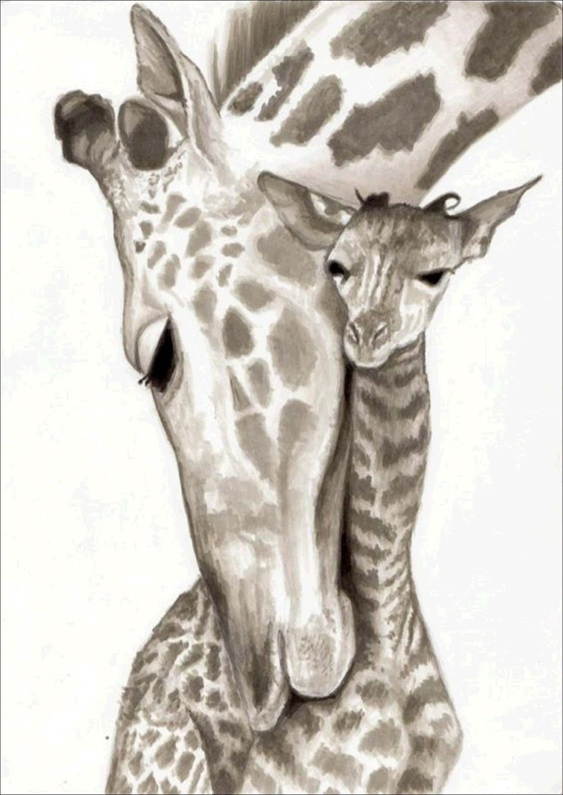 giraffe | Full Round Diamond Painting Kits