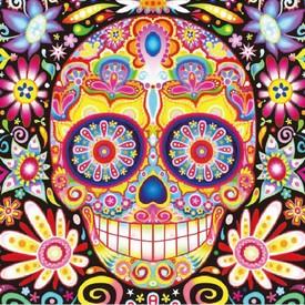 Skull | Special Shaped Diamond Painting Kits