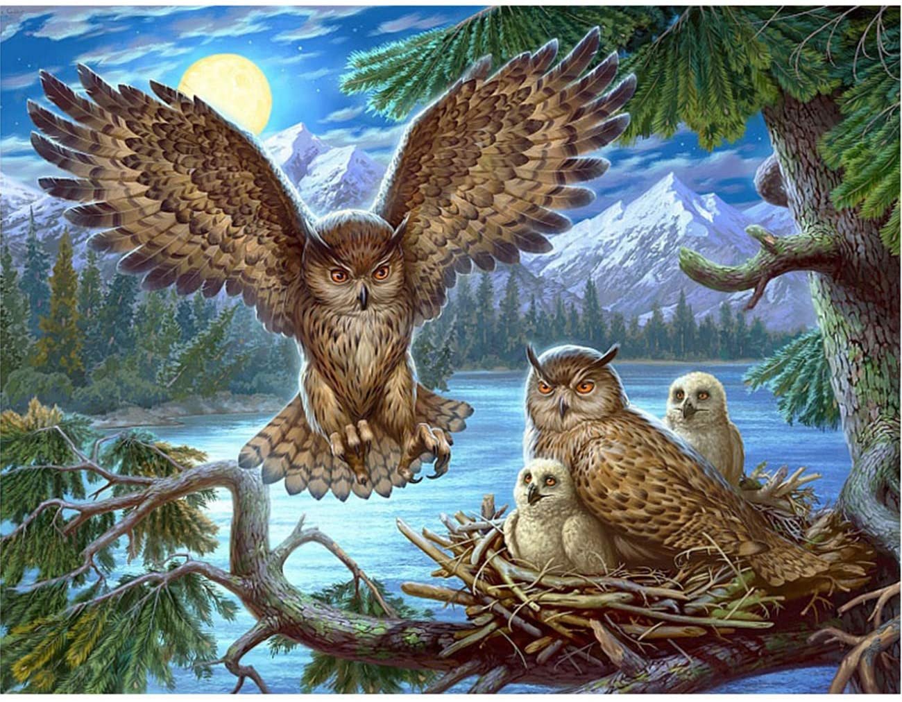 Owl House | Full Round Diamond Painting Kits