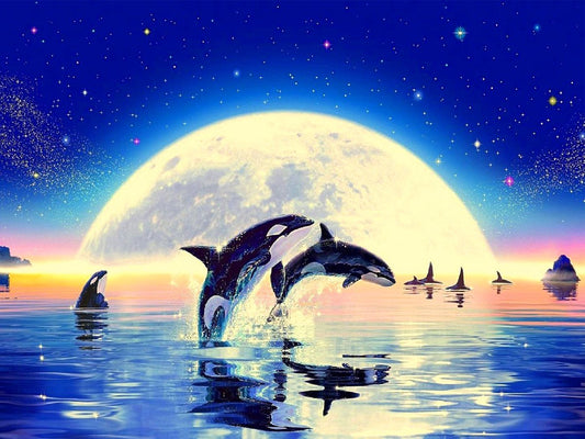 Killer Whale | Full Round Diamond Painting Kits