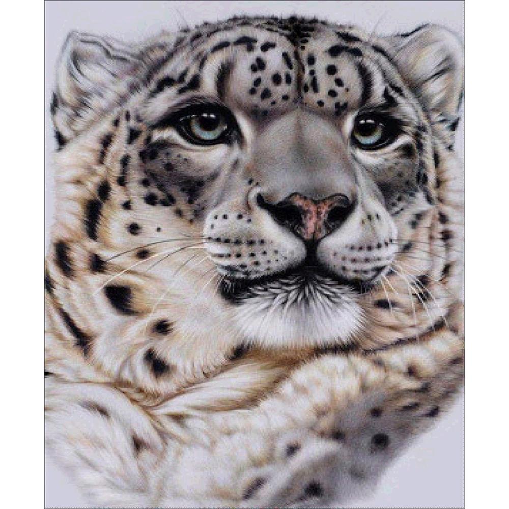 Leopard | Full Round Diamond Painting Kits