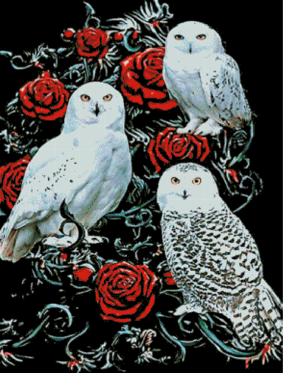 Kits complets de peinture diamant rond/carré | hibou et rose