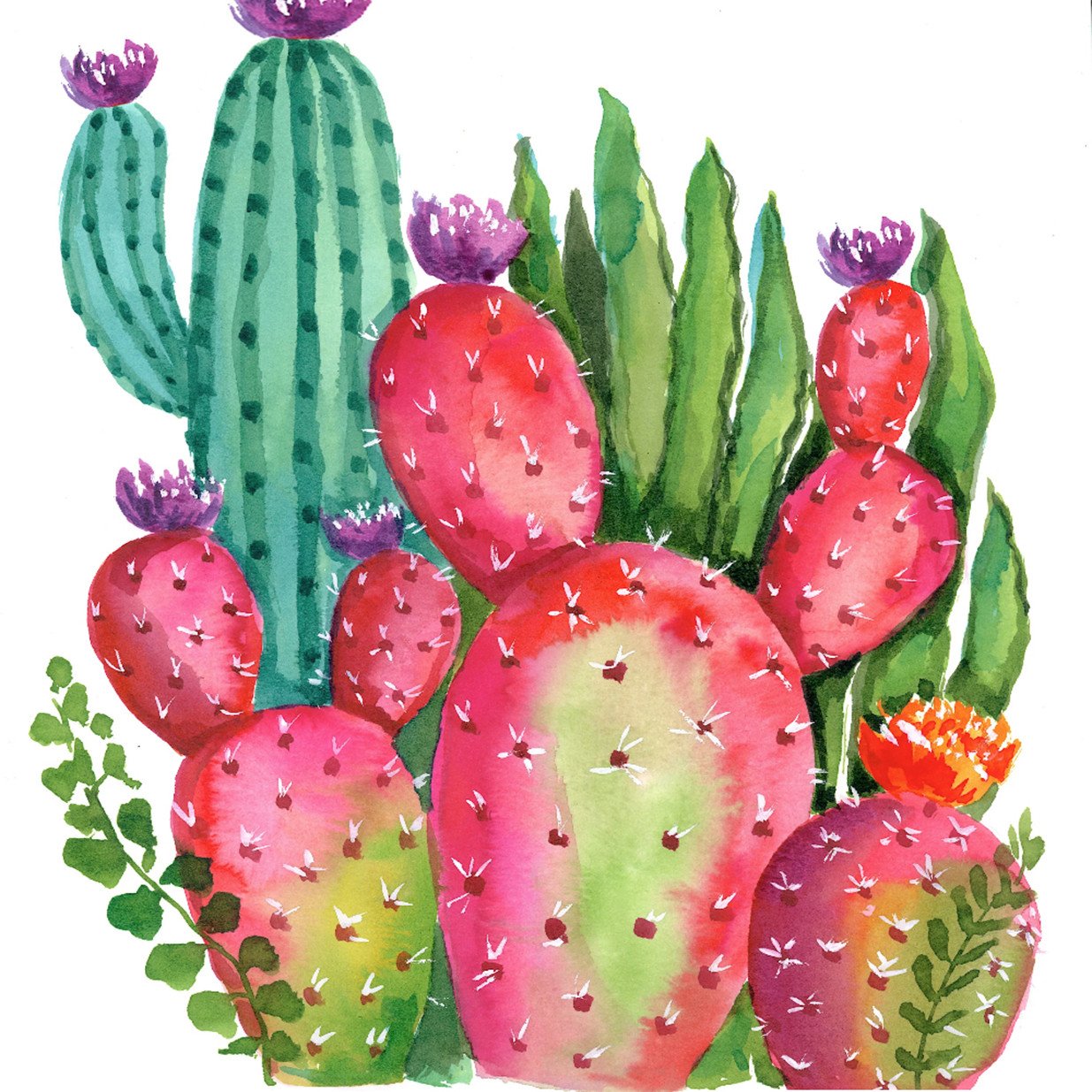 cactus | Full Round Diamond Painting Kits