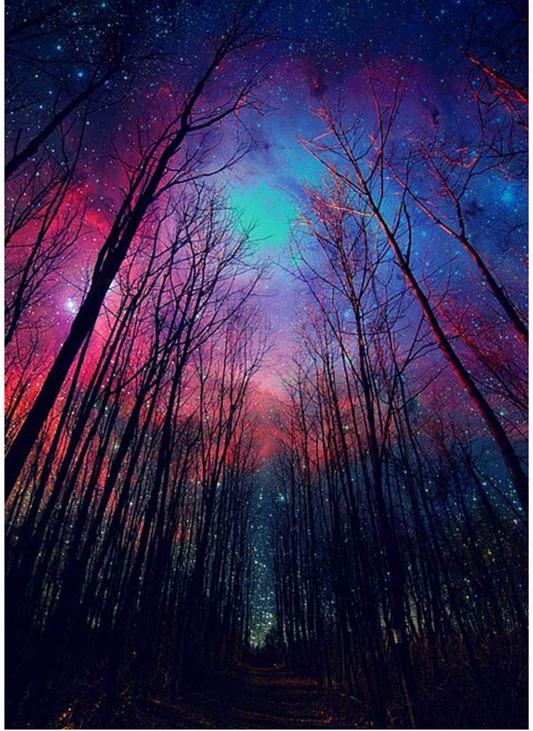 Forest starry sky | Full Round Diamond Painting Kits