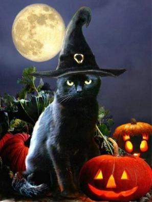 Schwarze Katze Halloweens | Vollständige runde Diamant-Malkits 