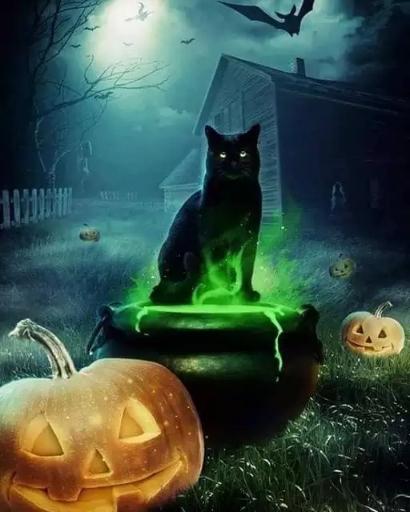 Schwarze Katze Halloweens | Vollständige runde Diamant-Malkits