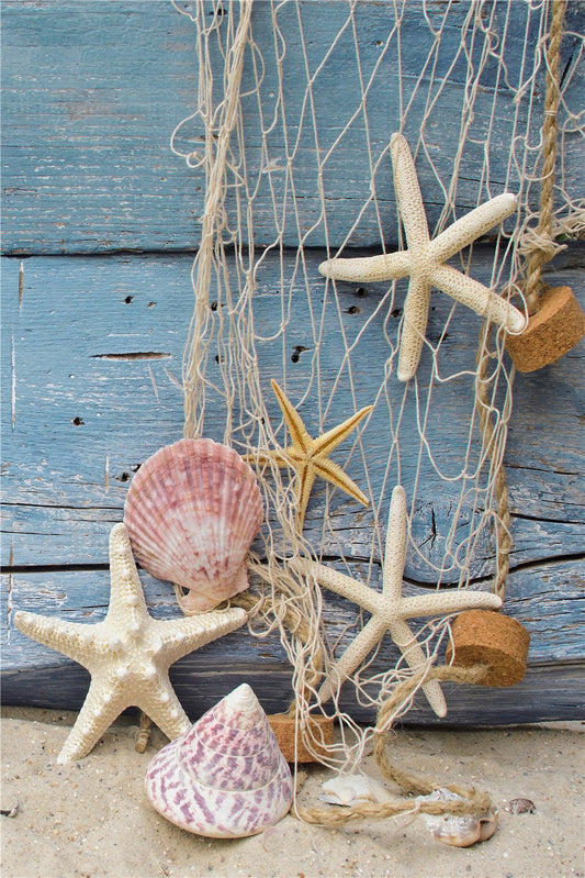 Starfish shells | Full Round Diamond Painting Kits