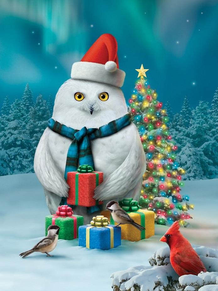 Christmas Owl | Full Round Diamond Painting Kits