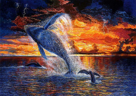 Whale | Full Round Diamond Painting Kits