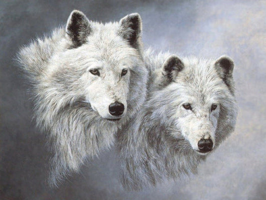 Weißer Wolf | Vollständige runde Diamant-Malkits 