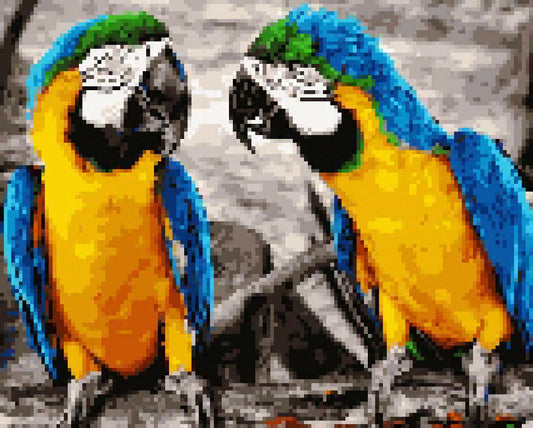 Macaw | Full Round Diamond Painting Kits