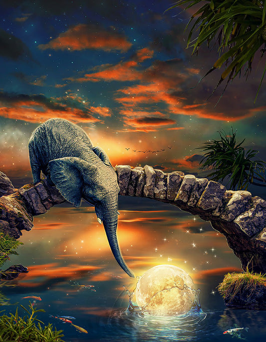 Elephant fishing for the moon | Full Round Diamond Painting Kits