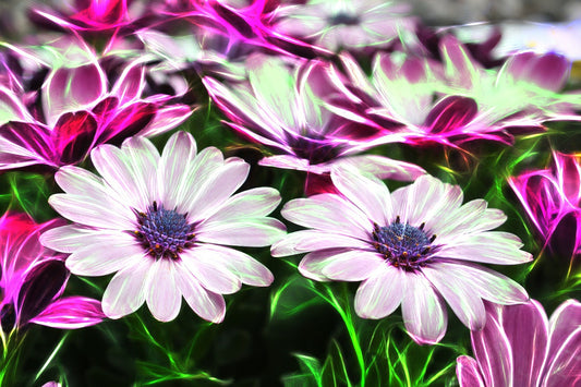 purple flower | Full Round Diamond Painting Kits