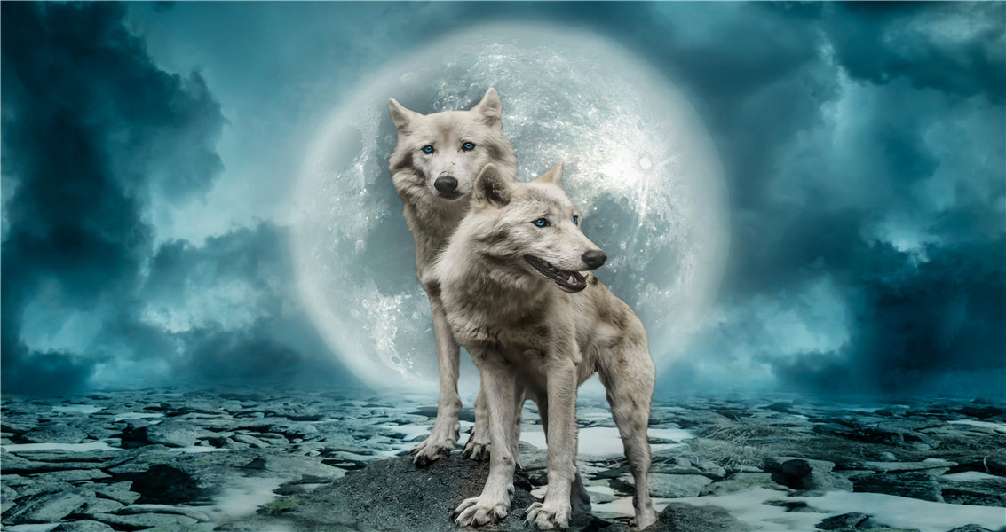 Wolf of the full moon | Full Round Diamond Painting Kits