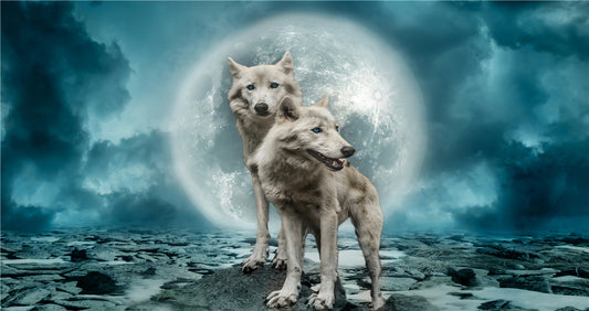Wolf des Vollmonds | Vollständige runde Diamant-Malkits 