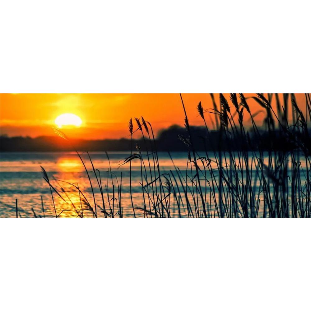 Reeds in the Sunset Scenery  | Full Round Diamond Painting Kits