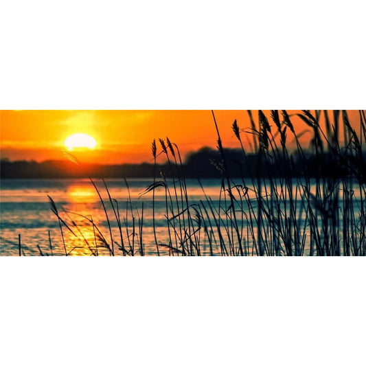 Reeds in the Sunset Scenery  | Full Round Diamond Painting Kits