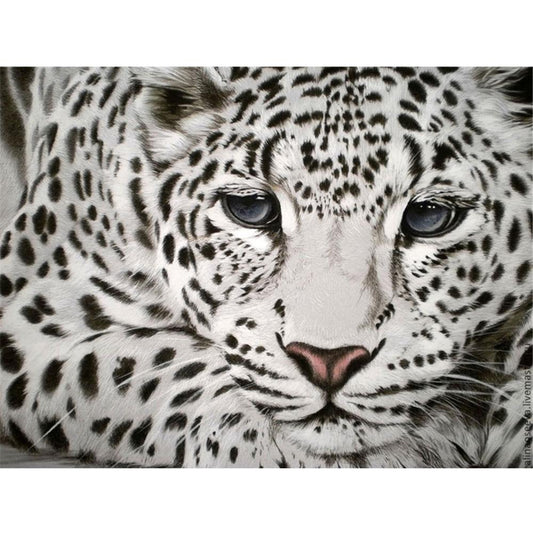 snow leopard | Full Square Diamond Painting Kits