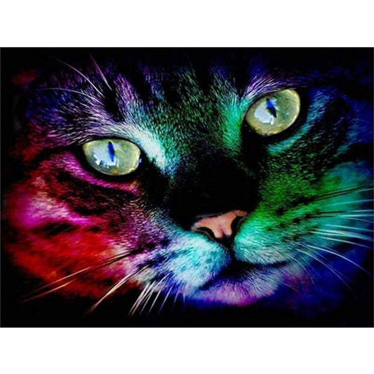 Katze | Full Square Diamond Painting Kits 