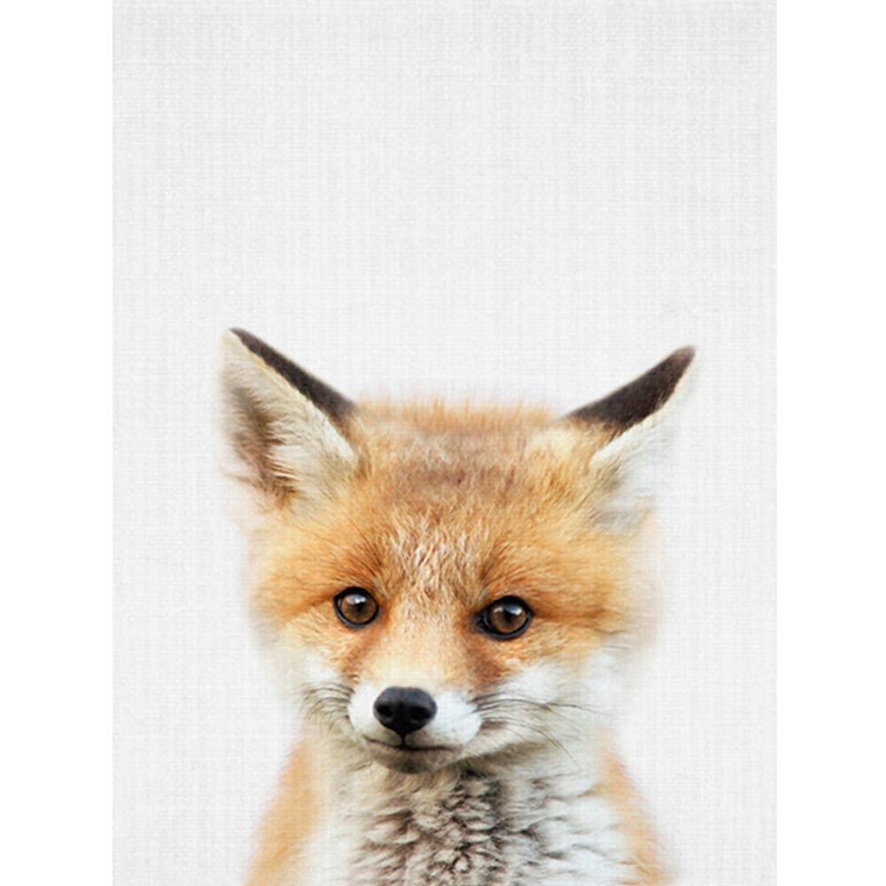 Red Fox  | Full Square Diamond Painting Kits