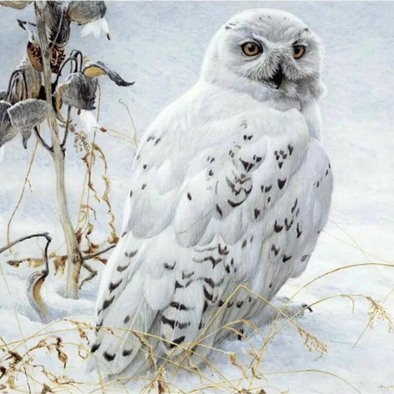 White owl | Full Round Diamond Painting Kits