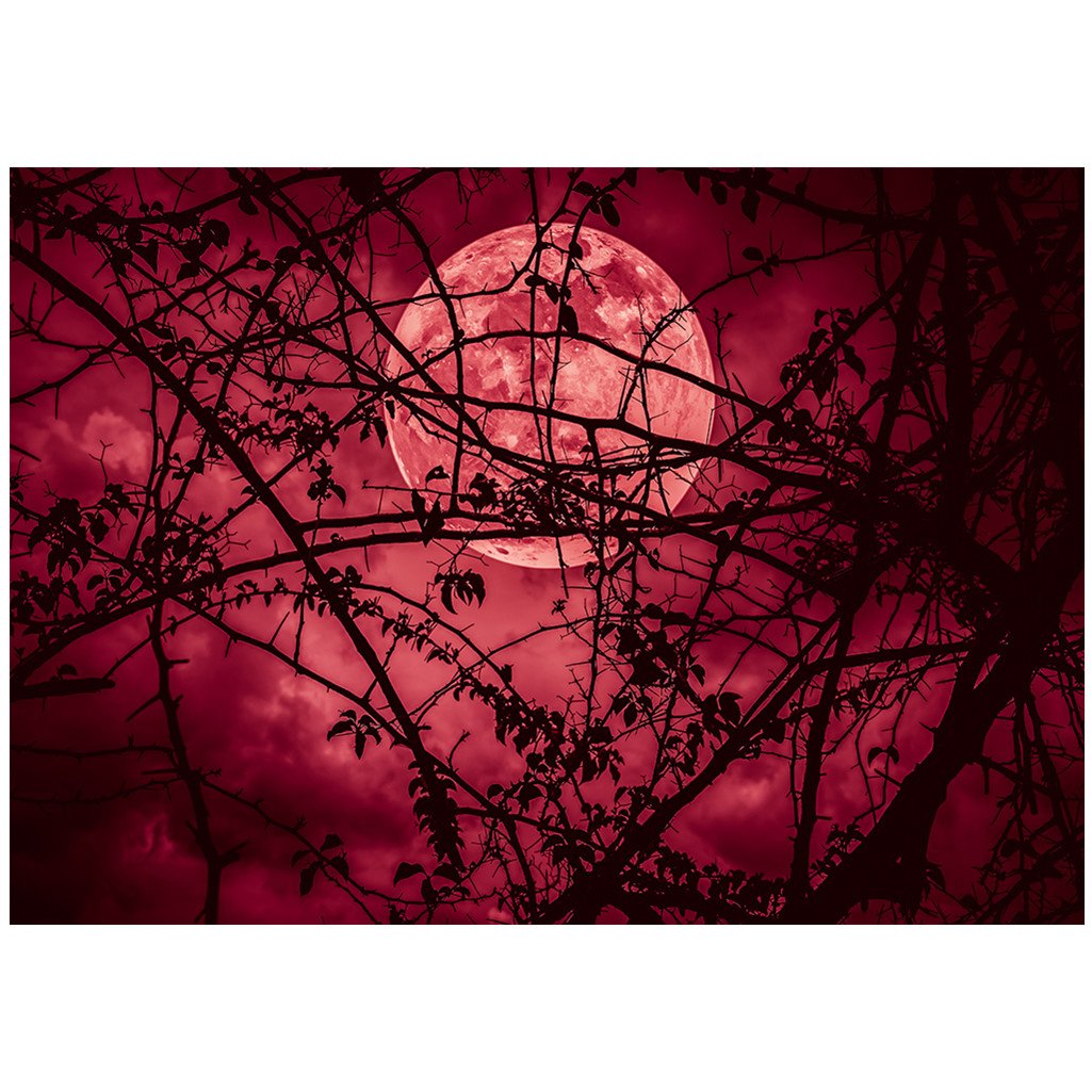 Lune rouge | Kits complets de peinture au diamant rond 