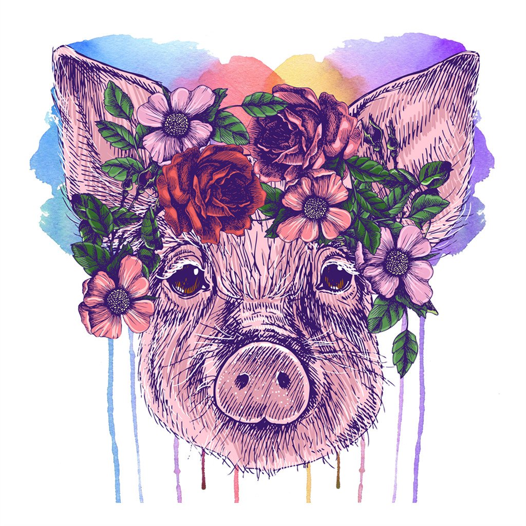 Pig head | Full Round Diamond Painting Kitsswan