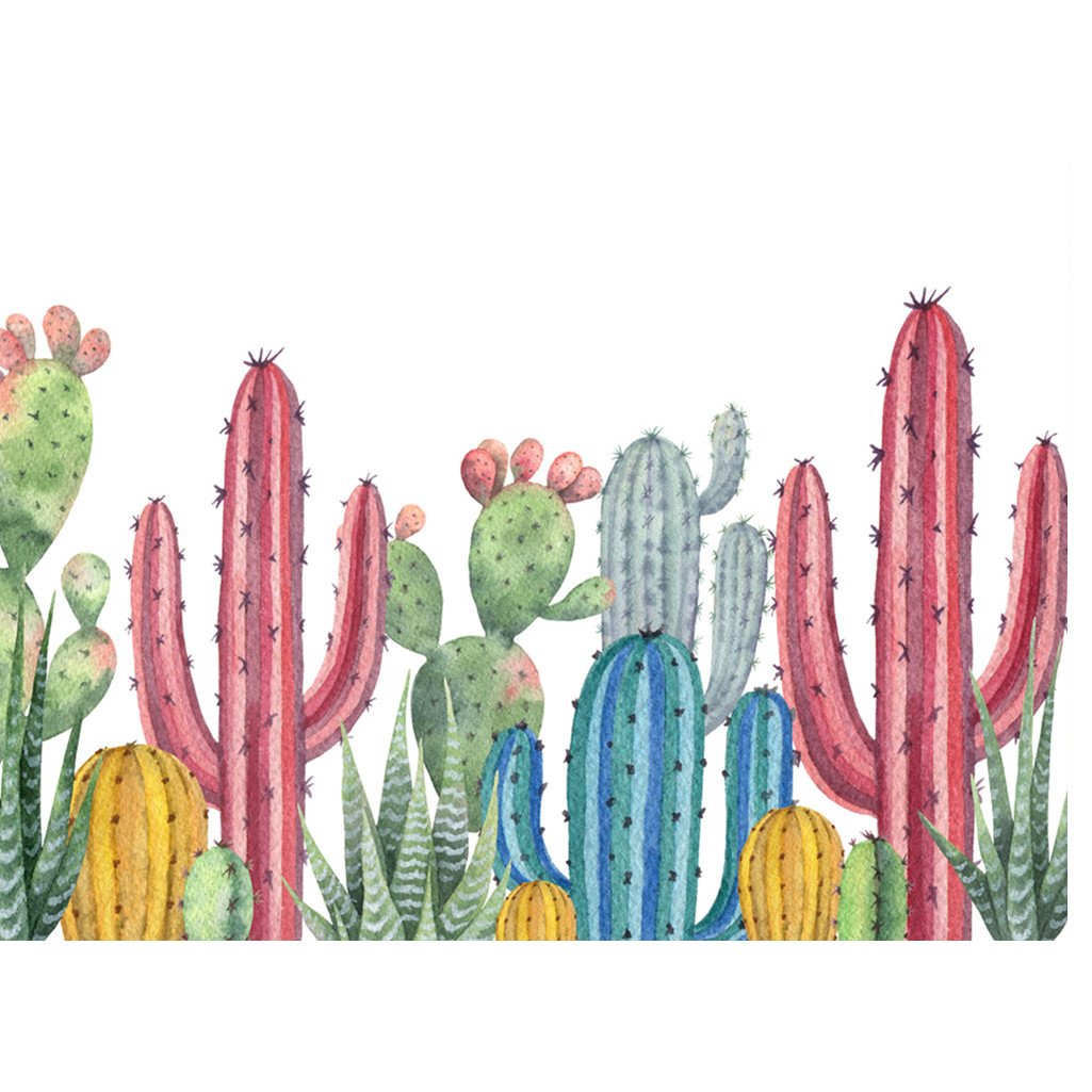 Cactus | Kits complets de peinture au diamant rond