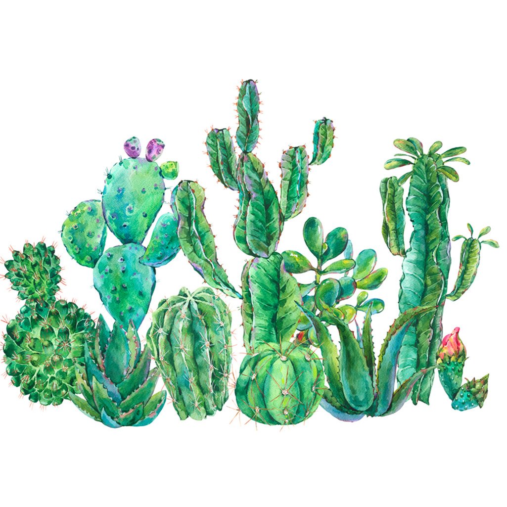 Cactus | Kits complets de peinture au diamant rond 