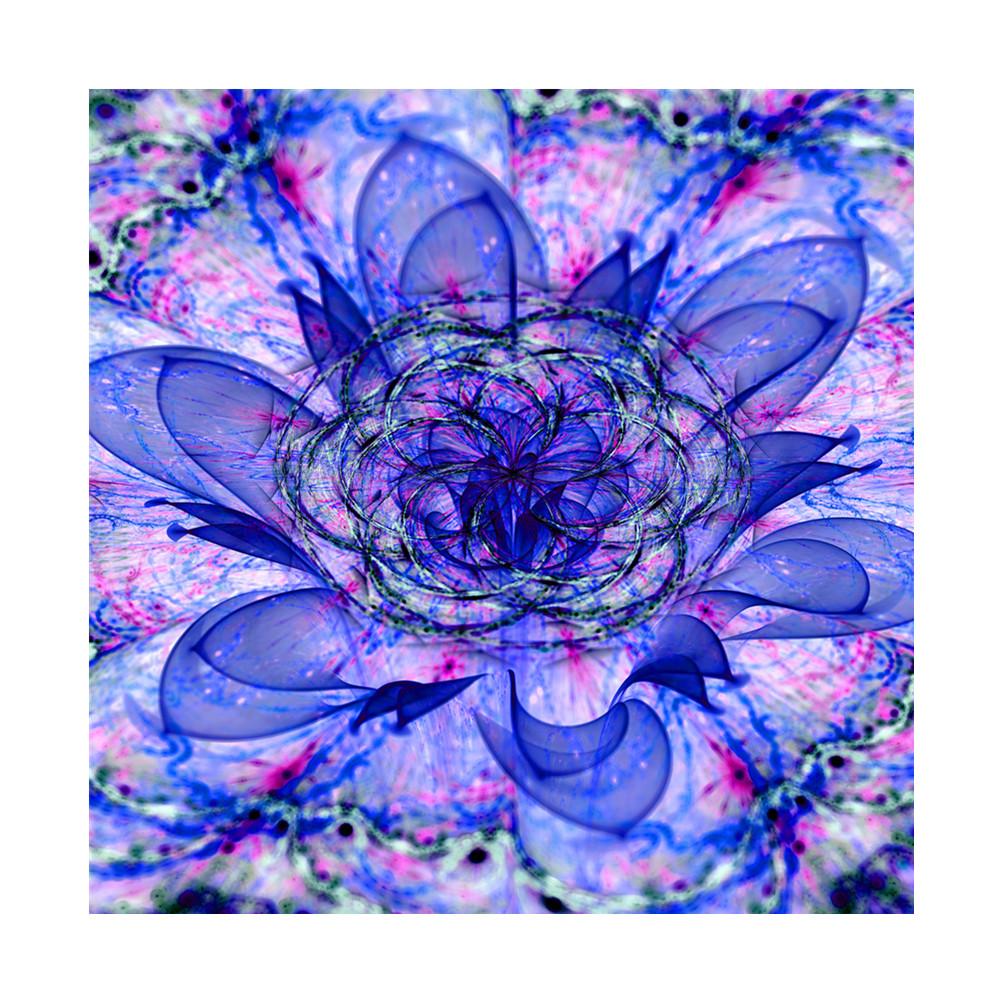 Blume | Vollständige runde Diamant-Malkits 