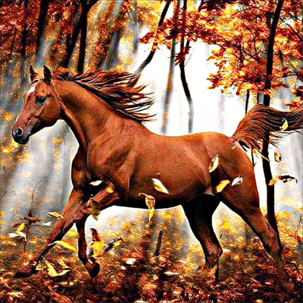 Full Round Diamond Painting Kits | Horse