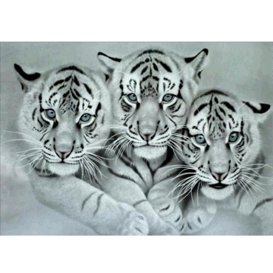 Full Round Diamond Painting Kits | tiger