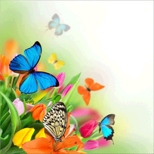 Full Round Diamond Painting Kits | butterfly