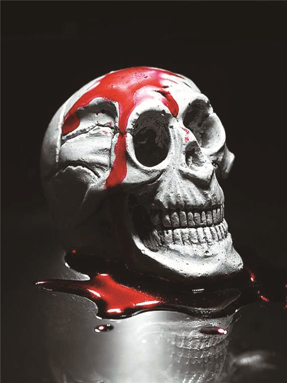 Skull | Full Round Diamond Painting Kit