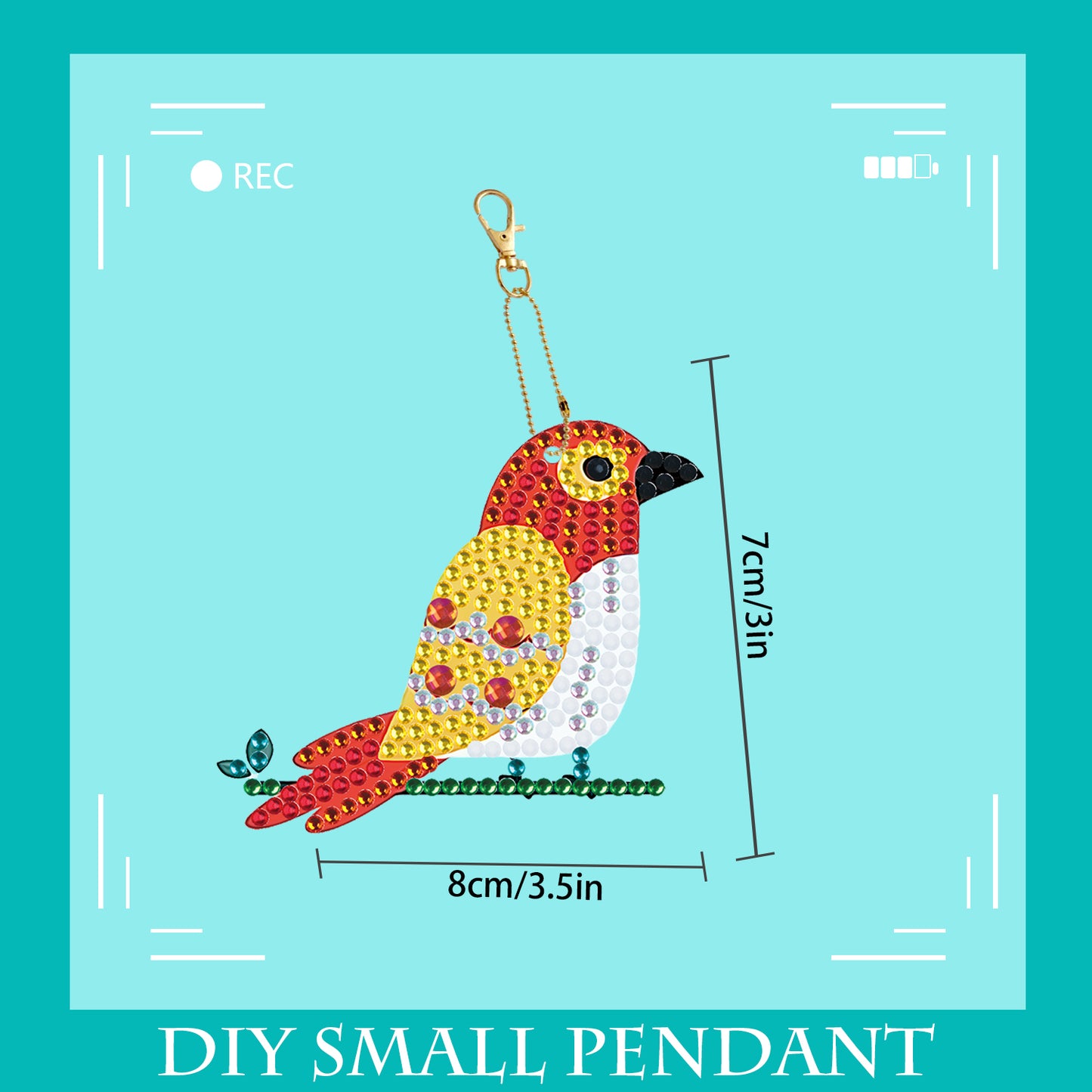 DIY keychain | Parrot | Double-sided | Five Piece Set