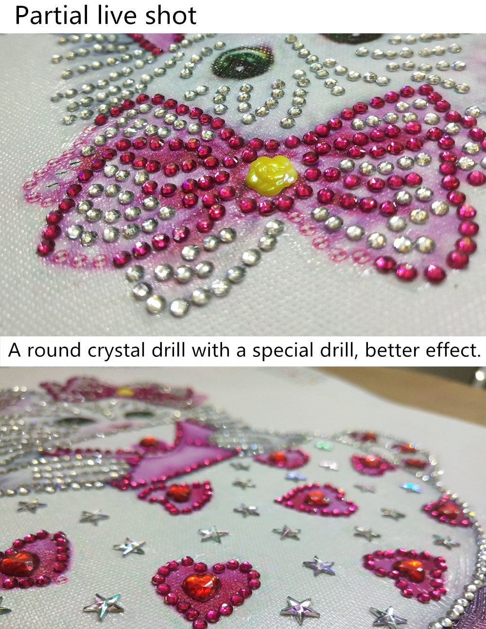 Chat | Kits de peinture au diamant de forme spéciale 