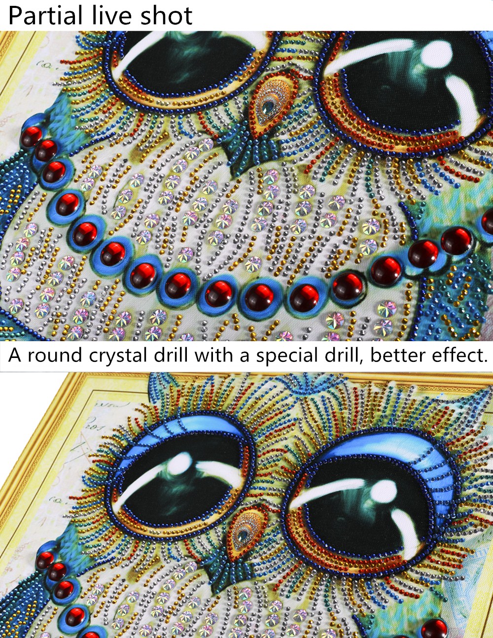 Owl | Special Shaped Diamond Painting Kits