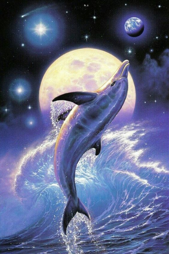 AB Diamond Painting    |  Dolphin