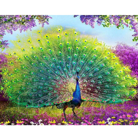 Peacock | Full Round Diamond Painting Kits