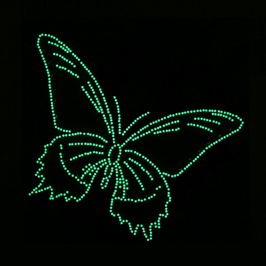 Papillon | Kits de peinture diamant lumineux 