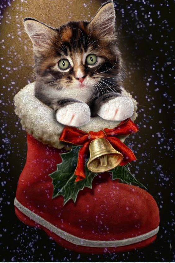 AB Diamond Painting  |  Christmas Cat